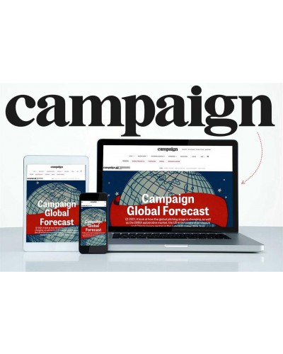 Campaign: The Information (Single-User Digital Access)