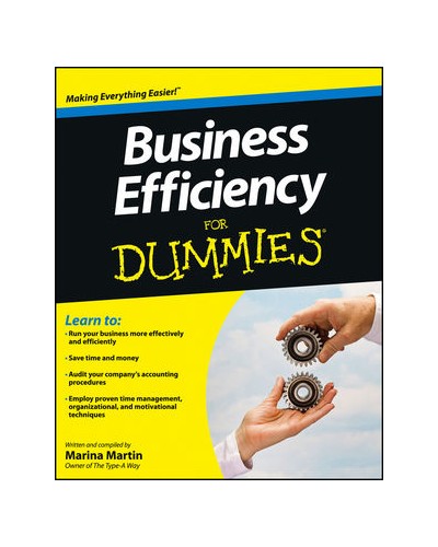 Business Efficiency For Dummies