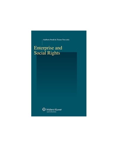 Enterprise and Social Rights