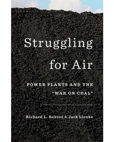 Struggling for Air: Power Plants and the "War on Coal"