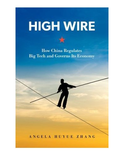 High Wire: How China Regulates Big Tech and Governs Its Economy