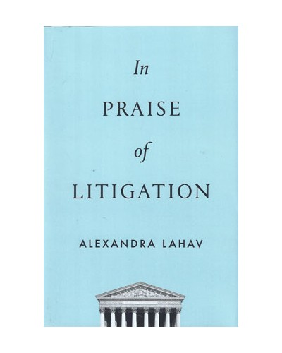 In Praise of Litigation