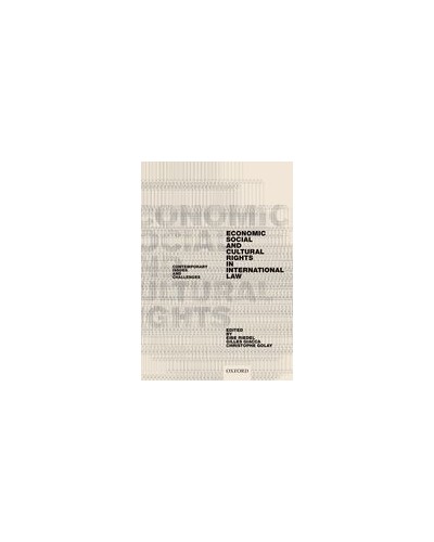 Economic, Social, and Cultural Rights in International Law