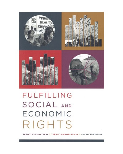 Fulfilling Social and Economic Rights
