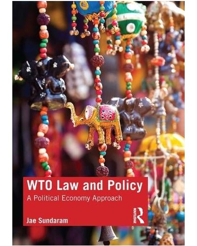 WTO Law and Policy: A Political Economy Approach