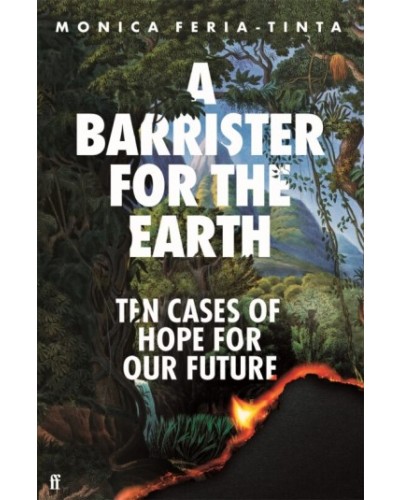 A Barrister for the Earth: Ten Cases of Hope for Our Future