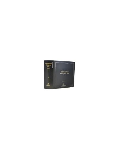 International Computer Law