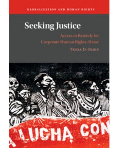 Seeking Justice: Access to Remedy for Corporate Human Rights Abuse
