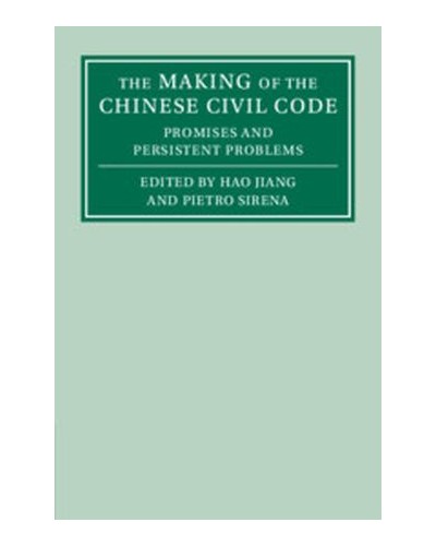 The Making of the Chinese Civil Code: Promises and Persistent Problems
