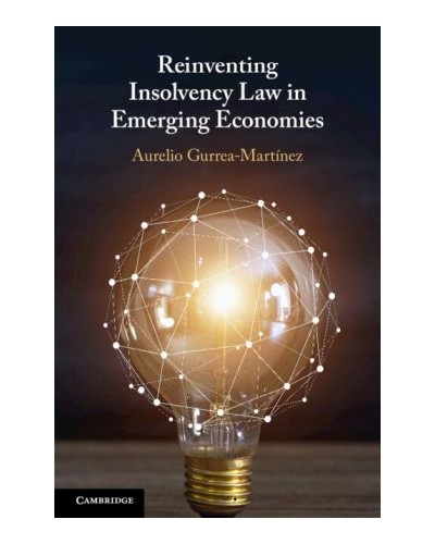 Reinventing Insolvency Law in Emerging Economies