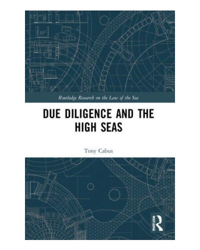 Due Diligence and the High Seas