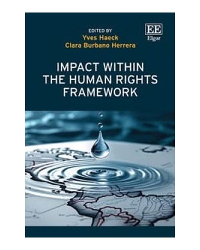 Impact within the Human Rights Framework
