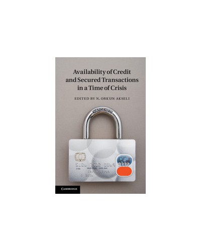 Availability of Credit and Secured Transactions in a Time of Crisis