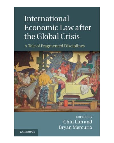 International Economic Law After the Global Crisis: A Tale of Fragmented Disciplines