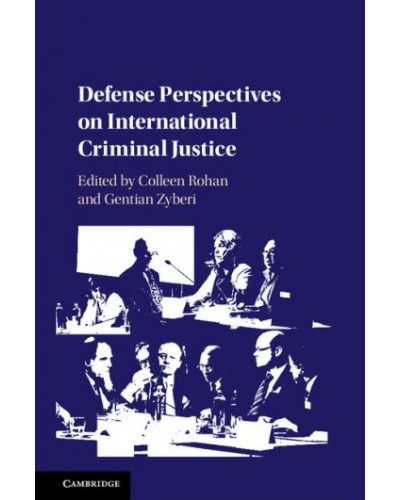 Defence Perspectives on International Criminal Justice