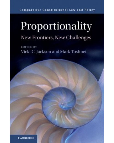 Proportionality: New Frontiers, New Challenges