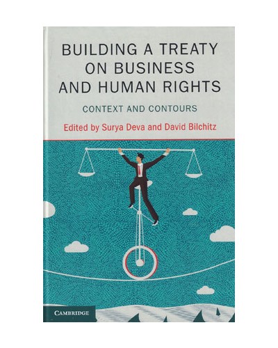 Building a Treaty on Business and Human Rights: Context and Contours