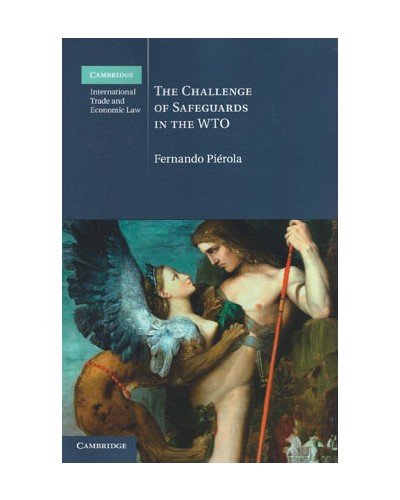 The Challenge of Safeguards in the WTO