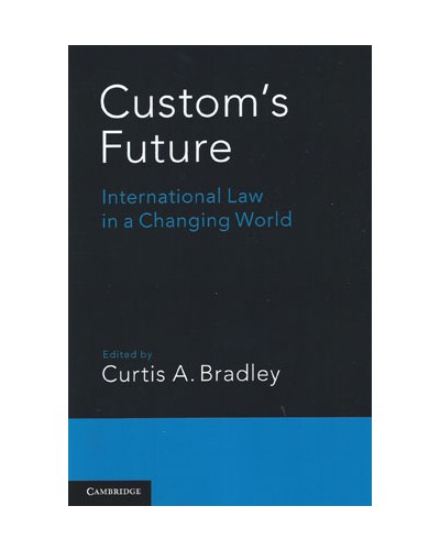 Custom's Future: International Law in a Changing World