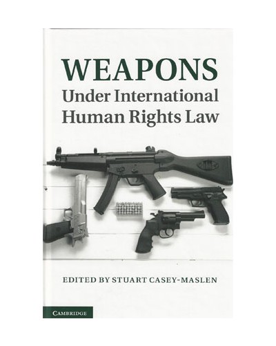 Weapons Under International Human Rights Law