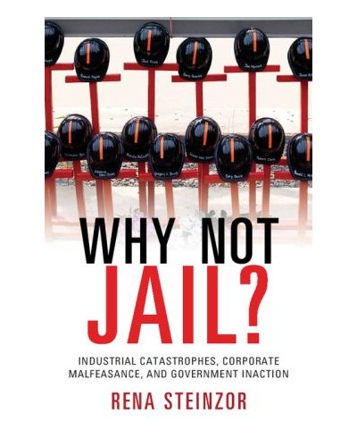 Why Not Jail?: Industrial Catastrophes, Corporate Malfeasance, and Government Inaction