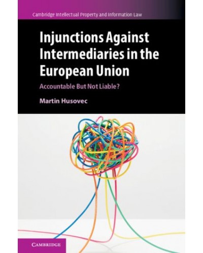 Injunctions Against Intermediaries in the European Union: Accountable but Not Liable?