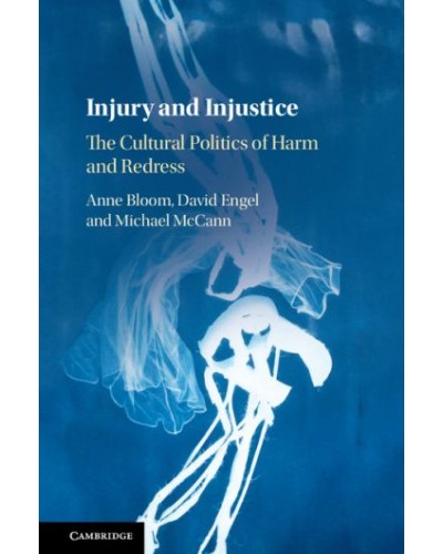 Injury and Injustice: The Cultural Politics of Harm and Redress