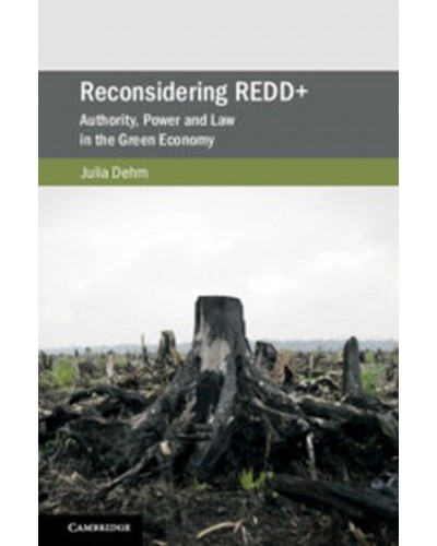 Reconsidering REDD+: Authority, Power and Law in the Green Economy