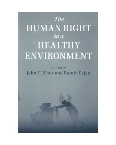 The Human Right to a Healthy Environment