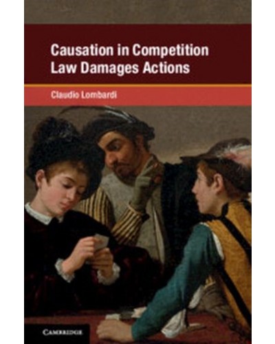 Causation in Competition Law Damages Actions