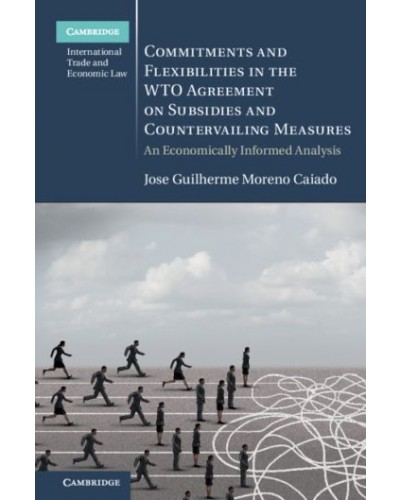 Commitments and Flexibilities in the WTO Agreement on Subsidies and Countervailing Measures: An Economically Informed Analysis