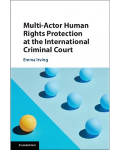 Multi-Actor Human Rights Protection at the International Criminal Court
