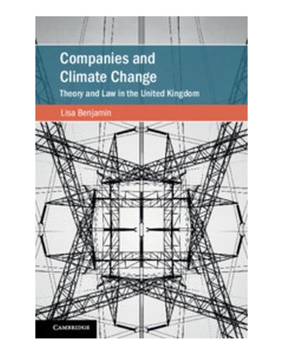 Companies and Climate Change: Theory and Law in the United Kingdom
