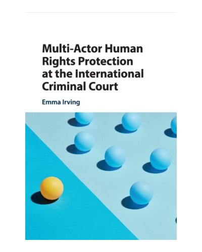 Multi-Actor Human Rights Protection at the International Criminal Court