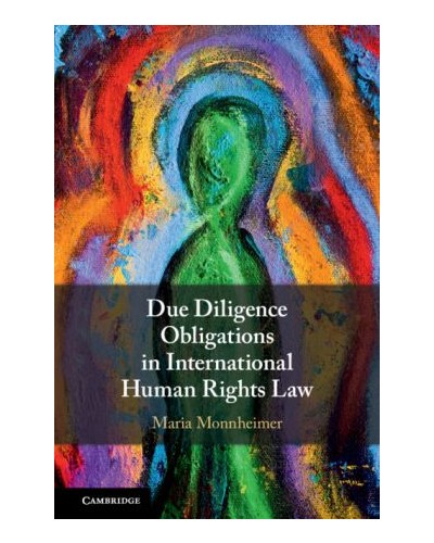 Due Diligence Obligations in International Human Rights Law