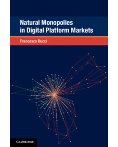 Natural Monopolies in Digital Platform Markets