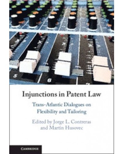 Injunctions in Patent Law: Trans-Atlantic Dialogues on Flexibility and Tailoring