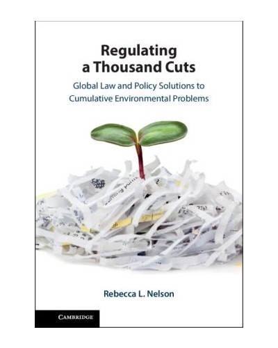 Regulating a Thousand Cuts: Global Law and Policy Solutions to Cumulative Environmental Problems