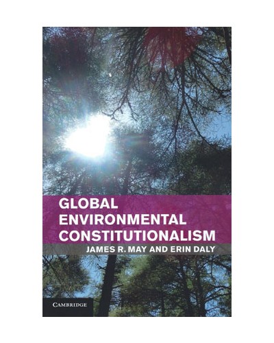 Global Environmental Constitutionalism: Implications for Present and Future Generations