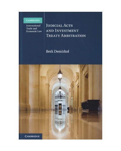 Judicial Acts and Investment Treaty Arbitration