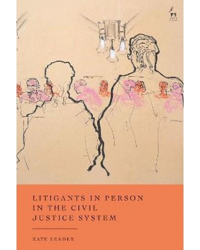 Litigants in Person in the Civil Justice System: In Their Own Words