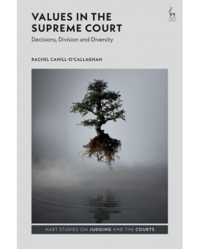 Values in the Supreme Court: Decisions, Division and Diversity