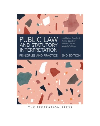 Public Law and Statutory Interpretation: Principles and Practice