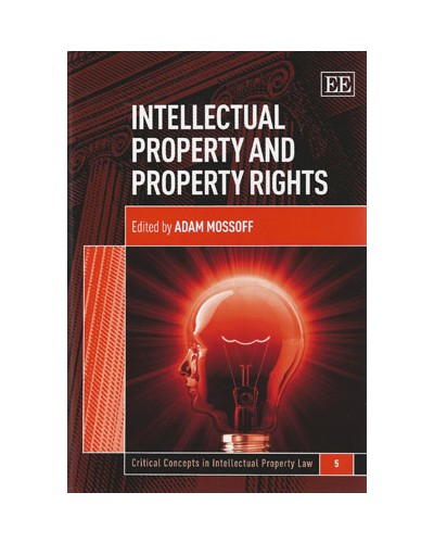 Intellectual Property And Property Rights