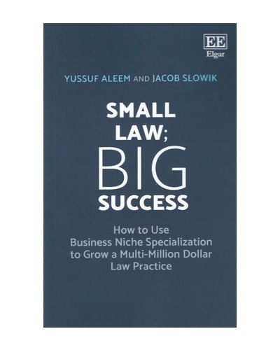 Small Law; Big Success: How to Use Business Niche Specialization to Grow a Multi-Million Dollar Law Practice