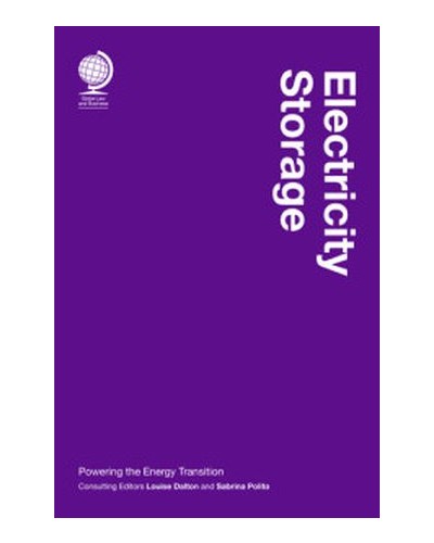 Electricity Storage: Powering the Energy Transition