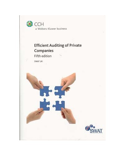 Efficient Auditing of Private Companies, 5th Edition