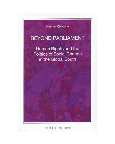 Beyond Parliament: Human Rights and the Politics of Social Change in the Global South