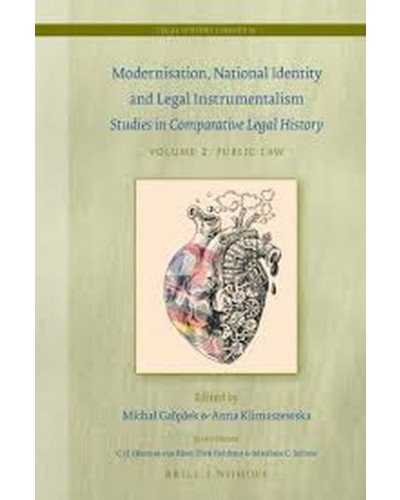 Modernisation, National Identity and Legal Instrumentalism, Vol. II: Public Law