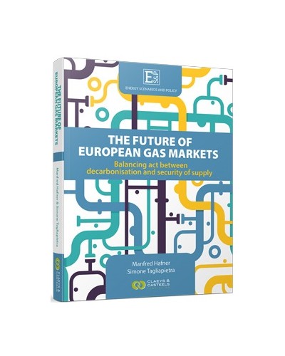 Energy Scenarios and Policy, Volume 1: The Future of European Gas Balancing Act Between Decarbonisatoin and Security of Supply